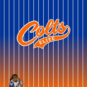 Colts Blanket 50X60