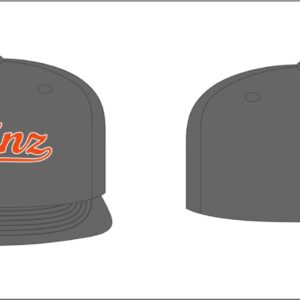 Phinz Flexfit Hat